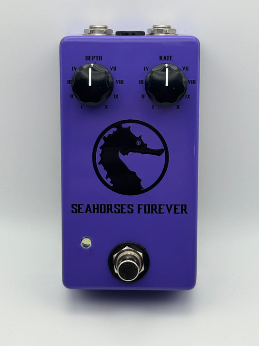 Seahorses Forever